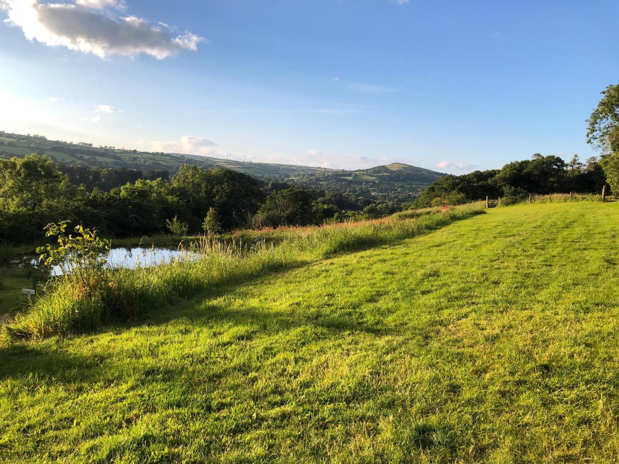 South Brent Rabbits 1Or 2 Bedroom Hobbit Style Hillset Earthen Dartmoor Eco Home מראה חיצוני תמונה